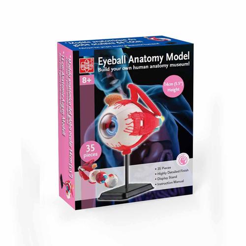 DIY Assembled for Medical Educational Toys for Kids EDU Learning Educational Toy for Children Stem Toys Eyeball Model