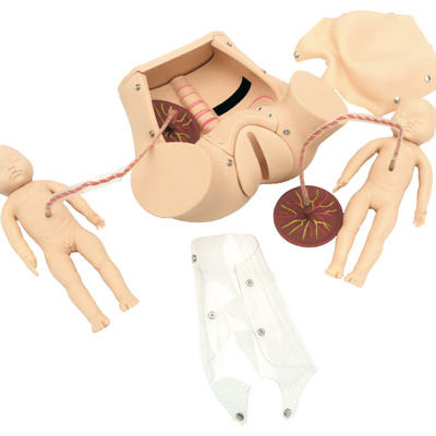 Advanced Labor Delivery Comprehensive Skill Training Model Pregnancy Model Birth Simulator Gynecological Training Manikin