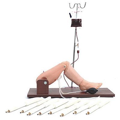 Bone Puncture and Femoral Vein Model Medical Emergency Manikin Human Teaching Model Medical Science Nursing Manikin