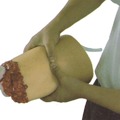 Bleeding Training Model Nursing First Aid Training Model Hemostasis Bandaging Injured Severed Limbs Training Model