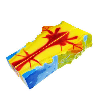 High School Geography Geology Geomorphology Volcano lava Eruption Volcanic Eruption Geological Model