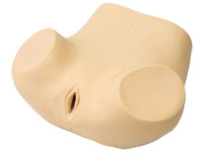 Advanced Gynecological Training Model Medical Teaching Gynecological Training Manikin Human Anatomy Uterine Model