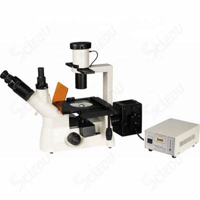 Fluorescence Inverted Microscope Biological Digital Microscope