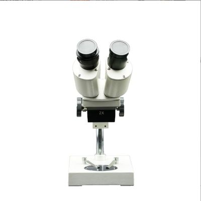 C-T1B Stereomicroscope 40X Magnification Anatomical Microscope Specifically Designed Schools Teaching Equipment Microscopes