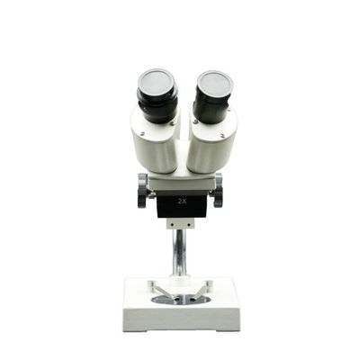C-T2A Stereo Microscope 40X Tilted 45-degree Head Magnification Anatomical Microscope Specifically Schools Microscope
