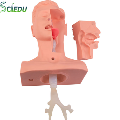 Advanced Sputum Suction Training Simulator Nasal and Oral Suctioning Practice Model