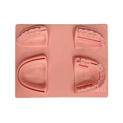 Dental Suture Practice Kit Suture Kit Medical Cutting and Suture Human Anatomy Model Medical Training Model Dental Teeth Model