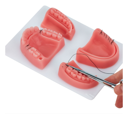 Medical Science Human Anatomical Training Suture Practice Pad Dental Suture Pad 4 Parts