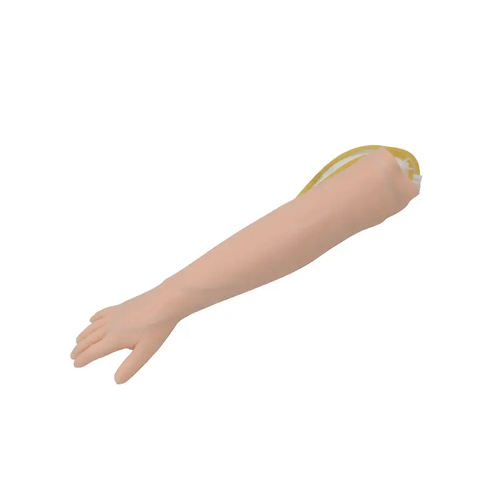 Venipuncture Arm Model Anatomical Models Medical Science Teaching Resource Medical School Training Nursing Model